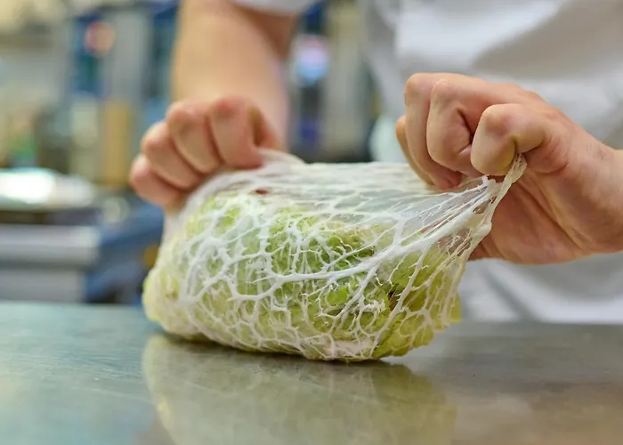 Zur Burg Szálloda 4*