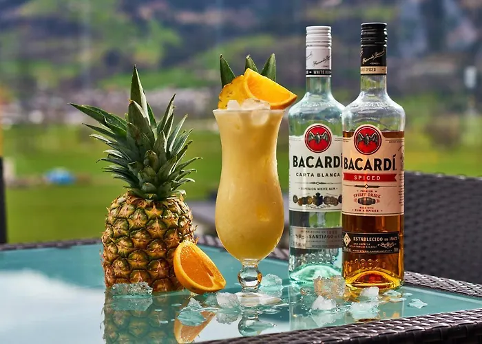 Otel Zur Burg Kaprun